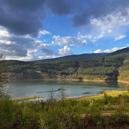 פירוט Zavojsko Jezero - Vila Jezero מראה חיצוני תמונה